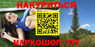 прущие грибы Комсомольск-на-Амуре