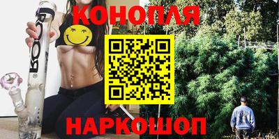 прущие грибы Комсомольск-на-Амуре