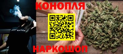 прущие грибы Комсомольск-на-Амуре