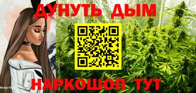 прущие грибы Комсомольск-на-Амуре