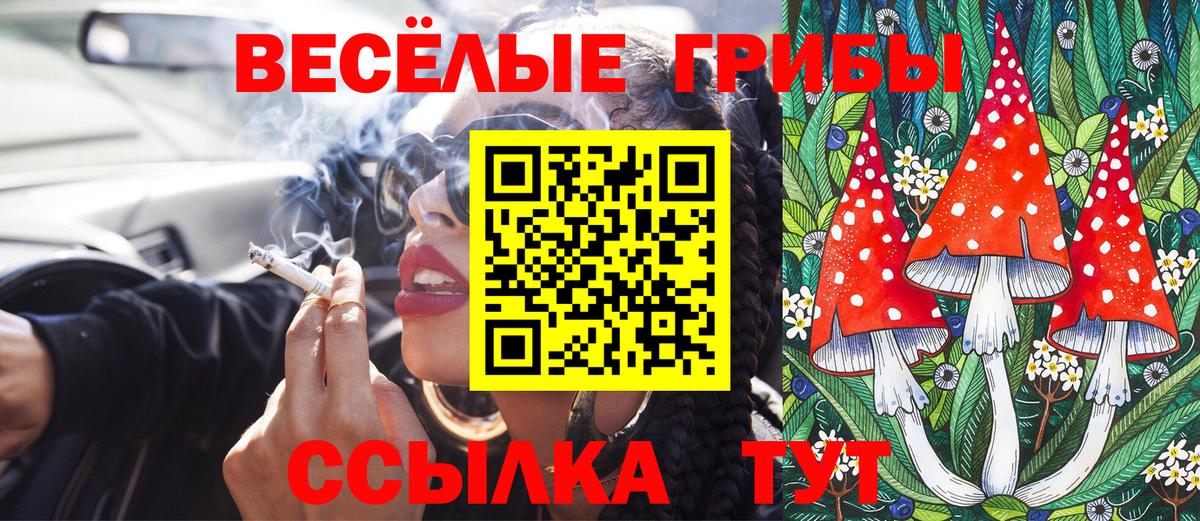 Галлюциногенные грибы ЛСД  Вход с VPN  купить  цена  Кингисепп 